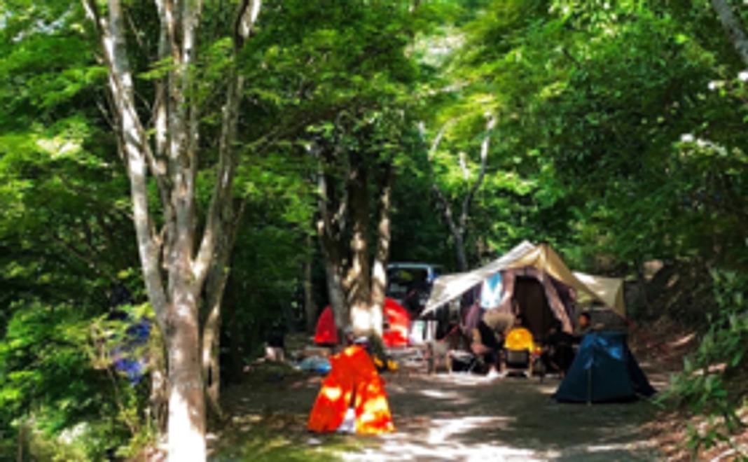 森のキャンプ会員コース【キャンプ料金を2年間半額！！】