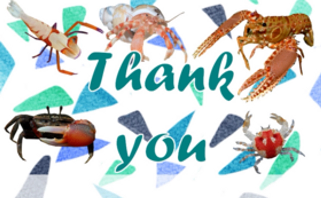 オリジナルのおハガキで応援