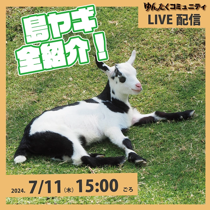 ゆんたくコミュニティ限定ライブ配信「島ヤギ全紹介」