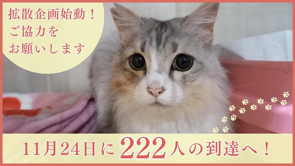 【緊急企画！】24日（金）に支援者222人の到達へ！シェア企画を始動します！