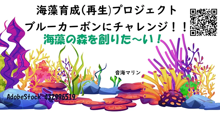 海に『海藻の森』を創りたい ! SDGs ブルーカーボンに挑戦!