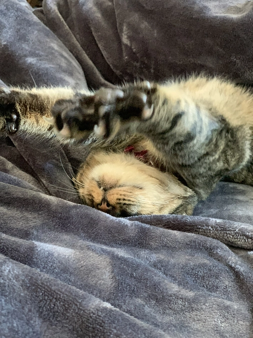 9日目　＊達成3日目