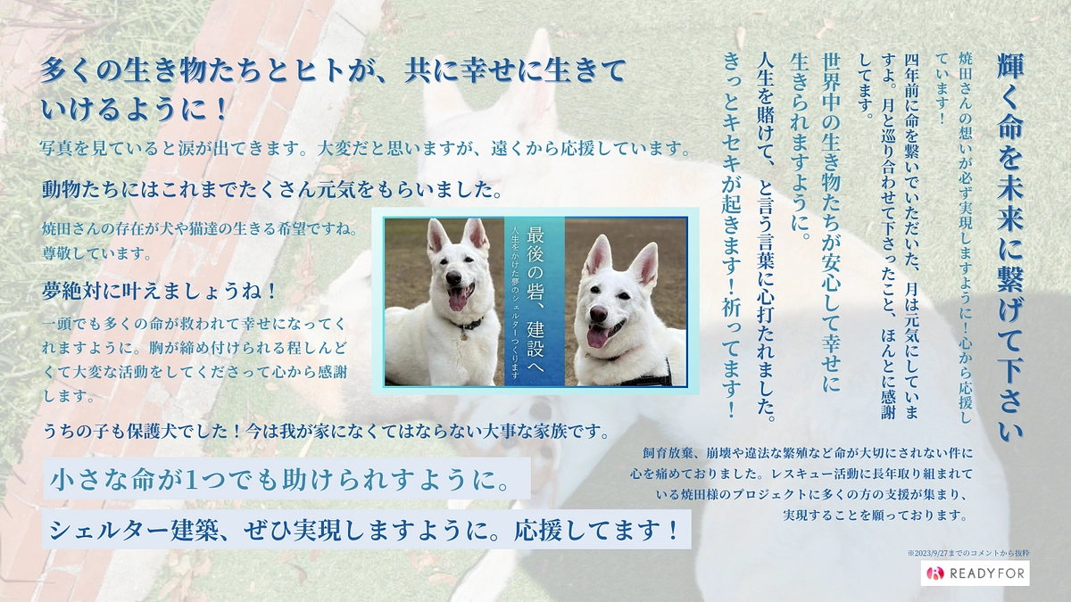 【900万円突破！】あと21日！あたたかい応援メッセージのご紹介です！
