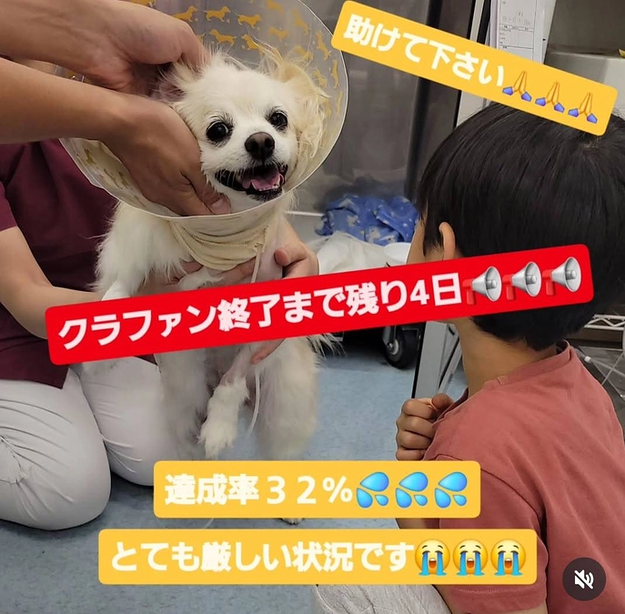 【残り4日】達成率３２％