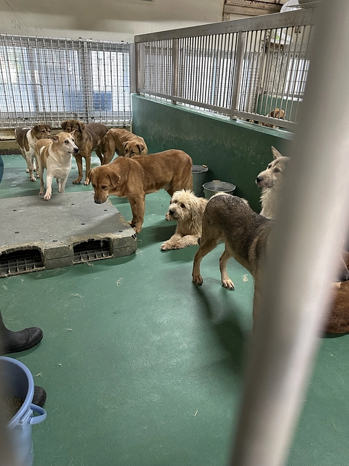 クラウドファンディングスタートから２日