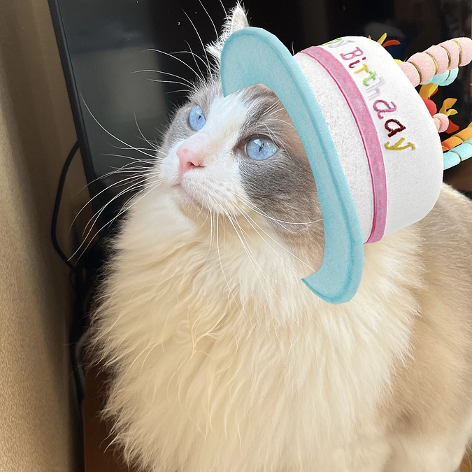 3歳のお誕生日を迎えることができました！