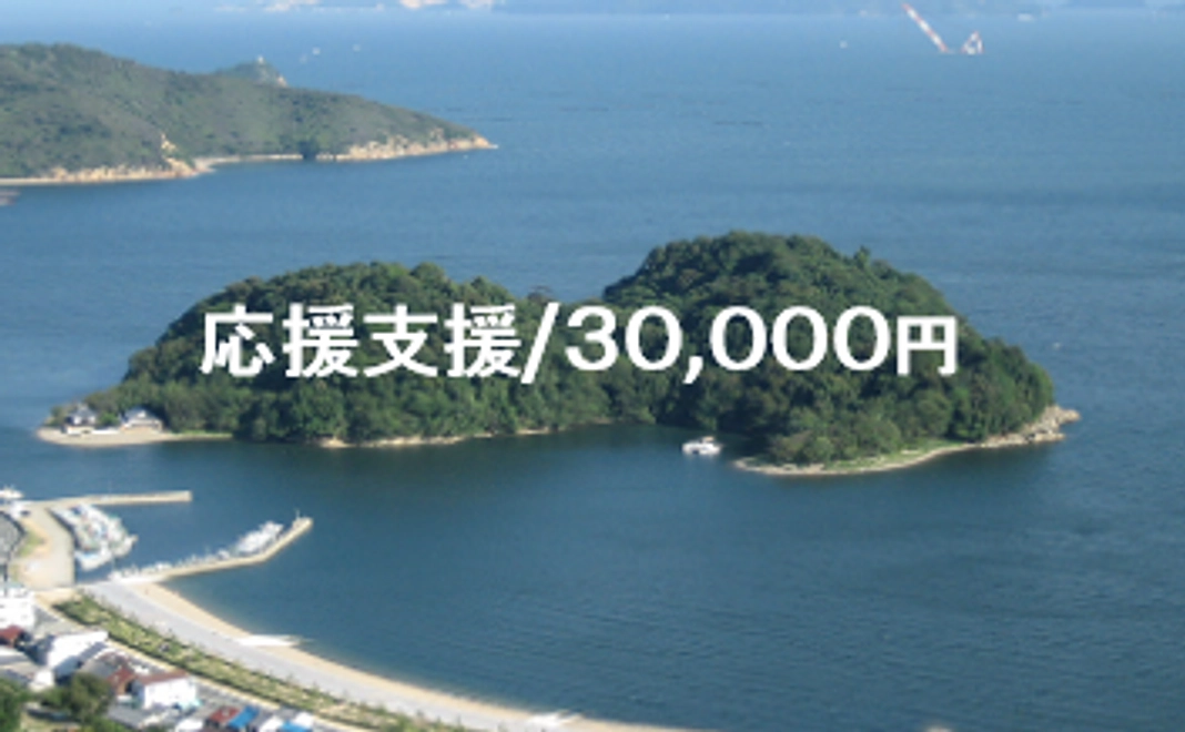 応援支援/30,000円