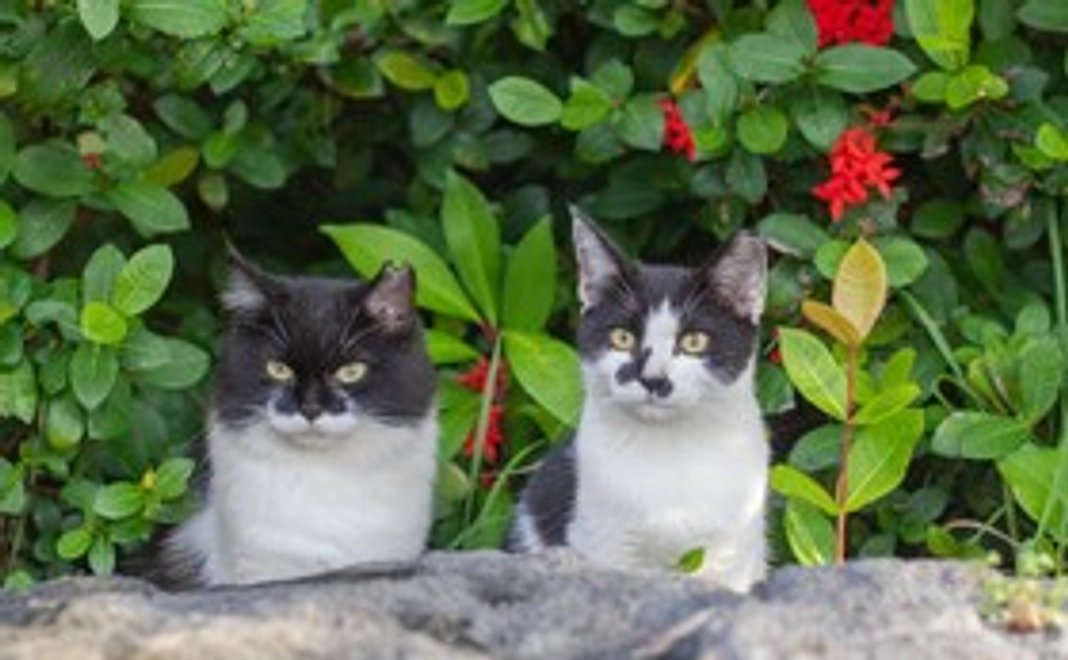 活動報告メール　～3,000円ご寄付～