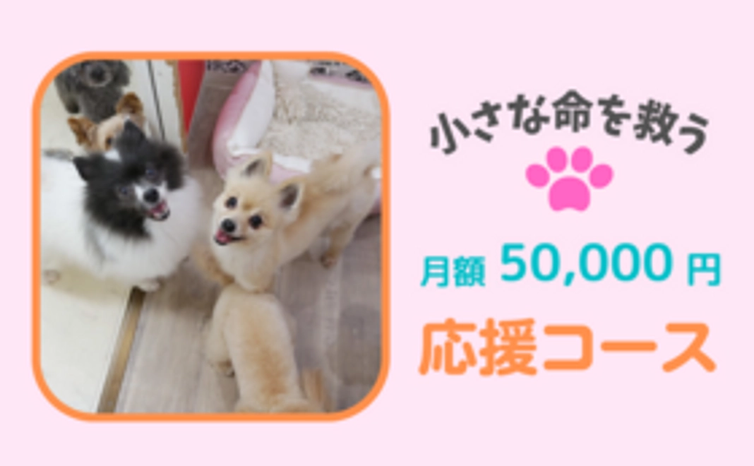 毎月応援！50,000円コース