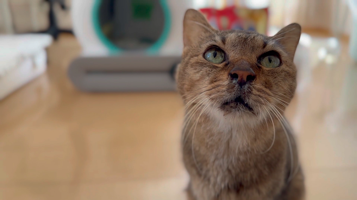 物資のご支援ありがとうございます！