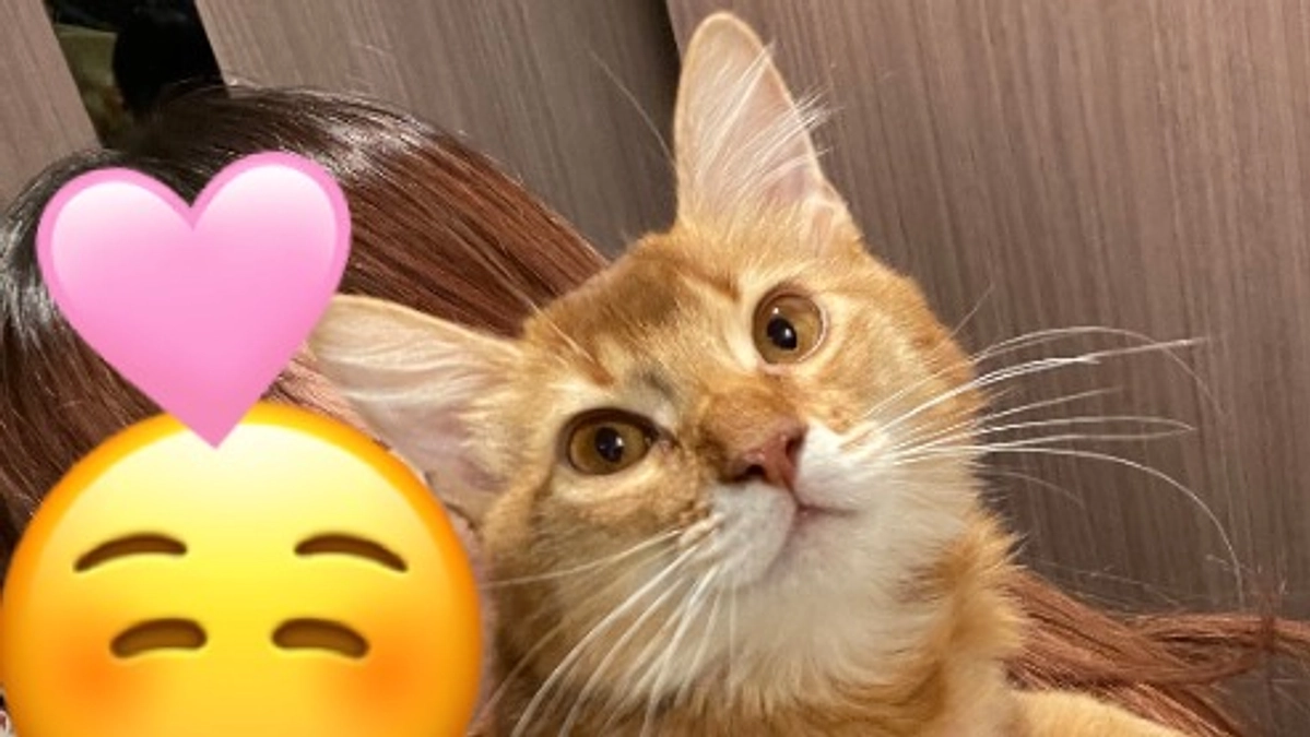 クラウドファンディング残り22時間🔥最後まで頑張ります!!