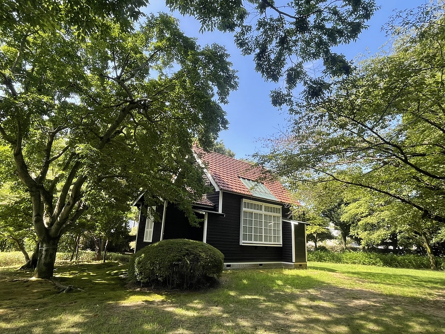 【残り15日】ご支援総額が600万円を超えました！