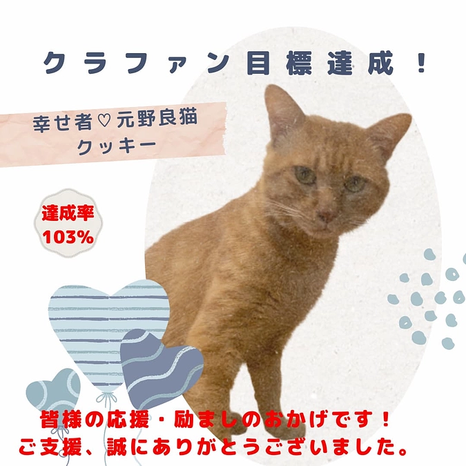 目標達成致しました！