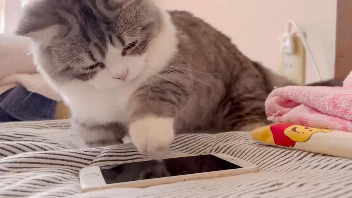 治療42日目、43日目のココロ