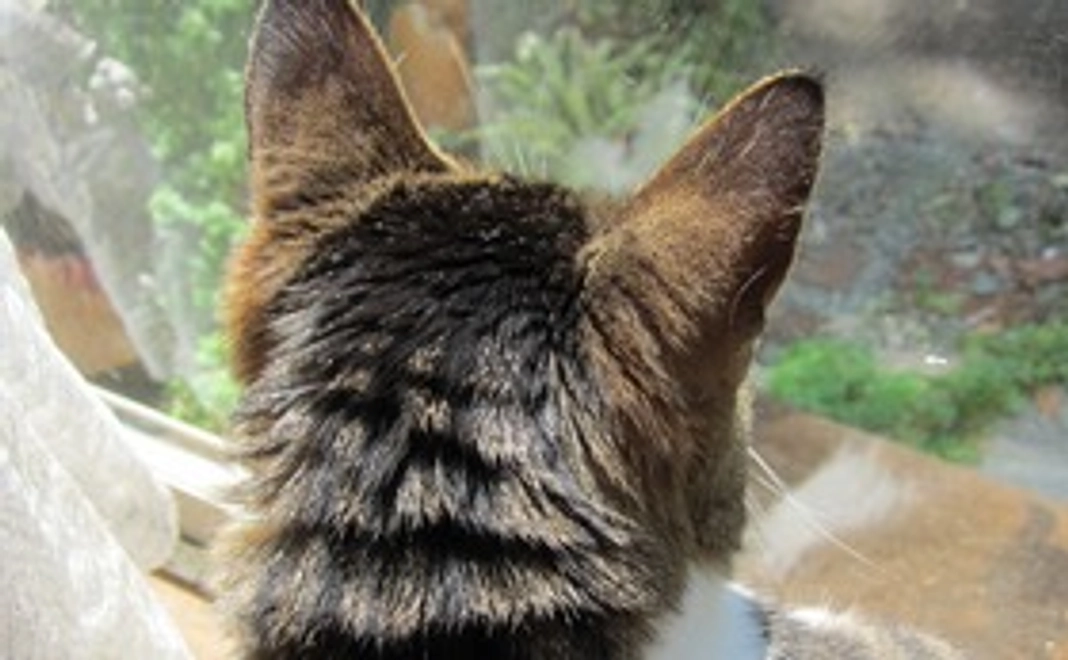 【1000円】感謝メール