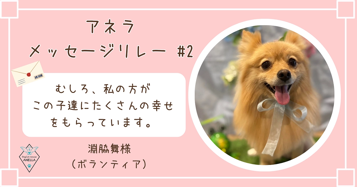 里親様&ボランティアメッセージリレー #02