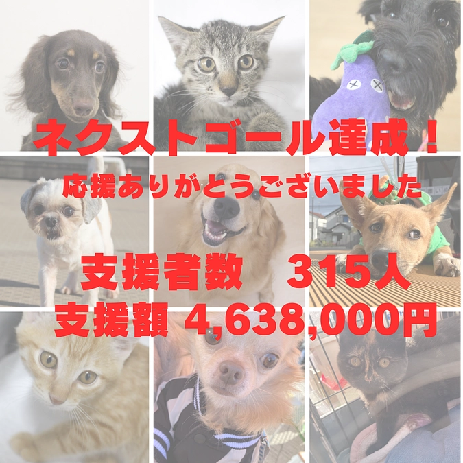 ネクストゴール達成しました！応援ありがとうございました！