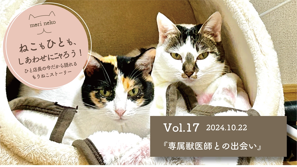 ねこもひとも、しあわせにﾆｬろう！vol.17『専属獣医師との出会い』