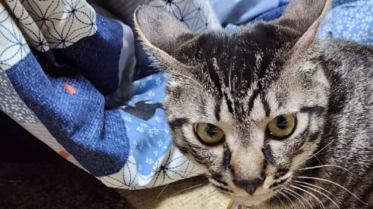 楓日記(12月14日)経過観察８３日目🍀