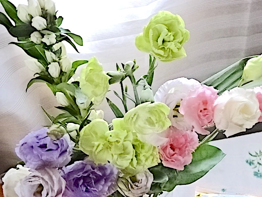 diary Vol.72　しまちゃんと虹の橋。