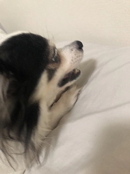 苦しそうに、吐いてしまいました