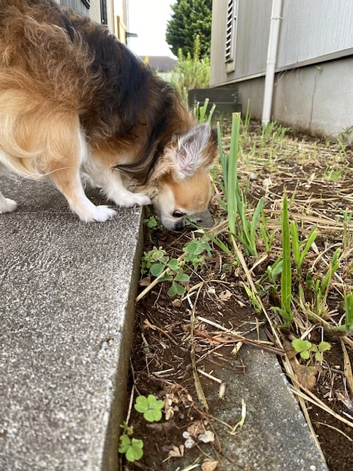 おはようございます☀️