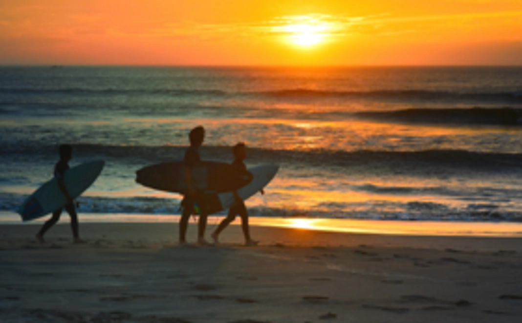 ＜いちのみやサポーターに認定！＞サポーター認定証