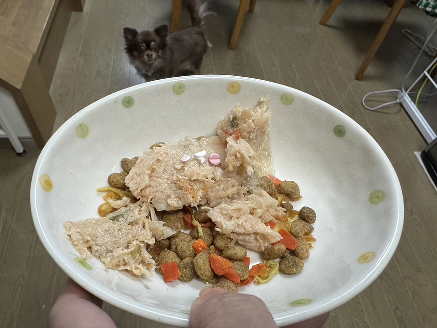 薬を飲むchoco💊💦