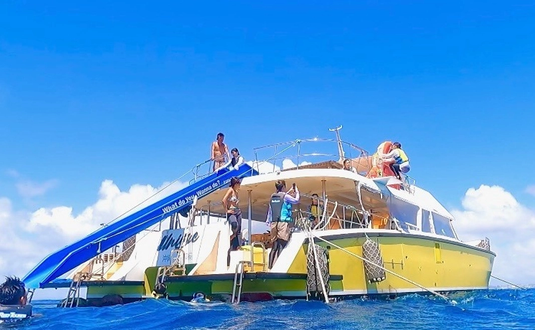 【返礼不要】OPｇ応援コース２