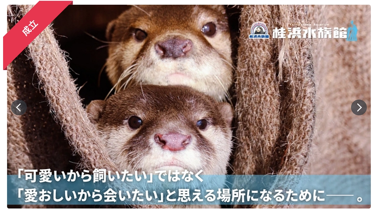 ＼クラウドファンディング挑戦期間が終了しました／