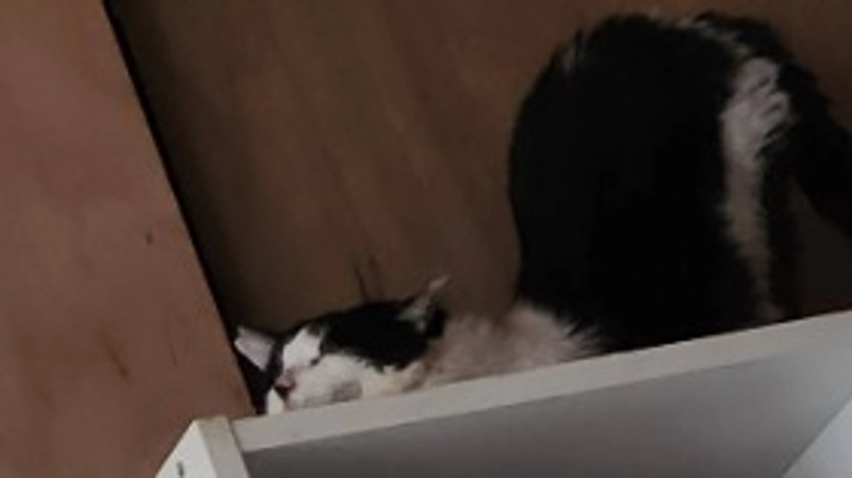 クラウドファンディング達成する事が出来ました🙇