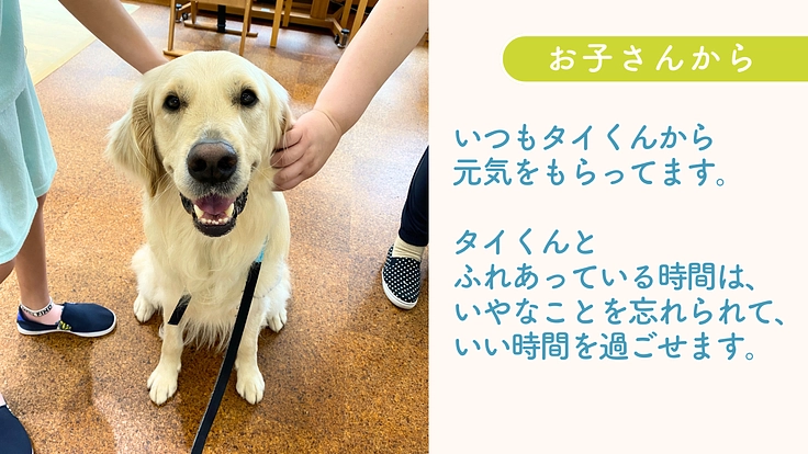 入院する子どもたちを笑顔に!ファシリティドッグ育成基金2024 7枚目
