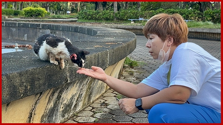 【次世代に引き継がれる本拠地】保護動物に安心安全な棲家を購入したい 3枚目