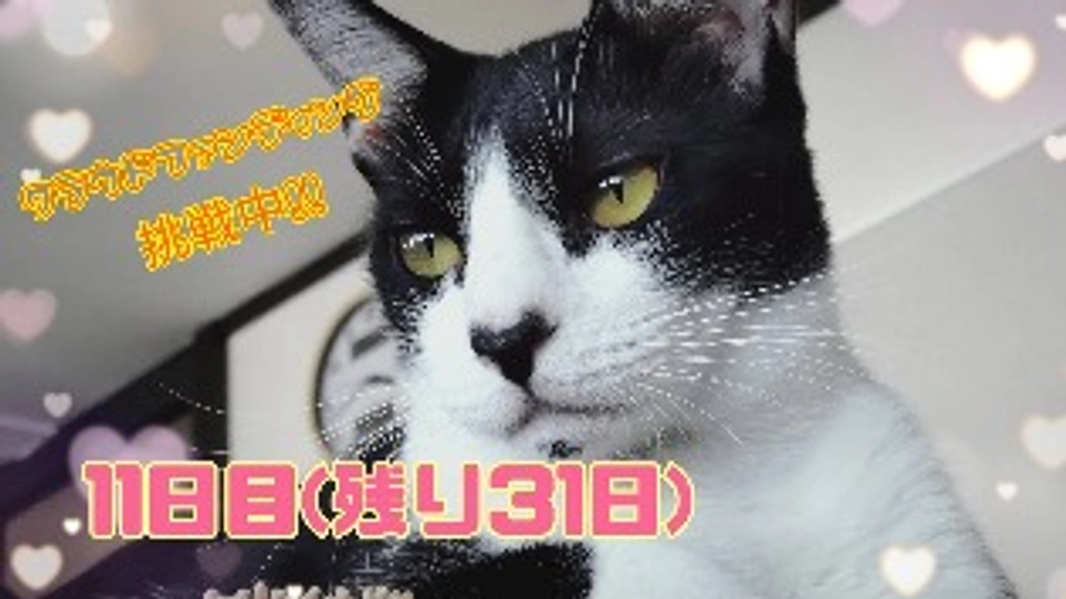 11日目 お客さんからスタッフへ