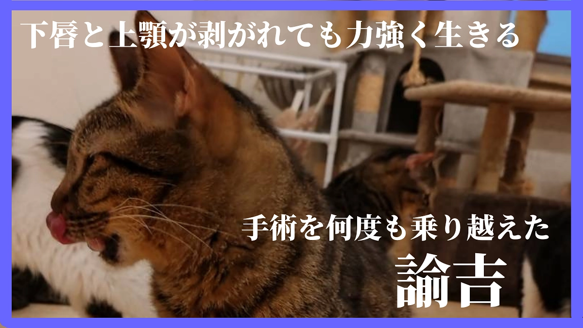 手術を何度も…力強く生きる命