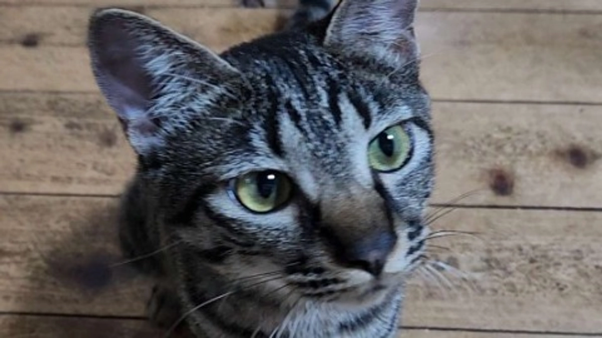 楓日記(8月30日)