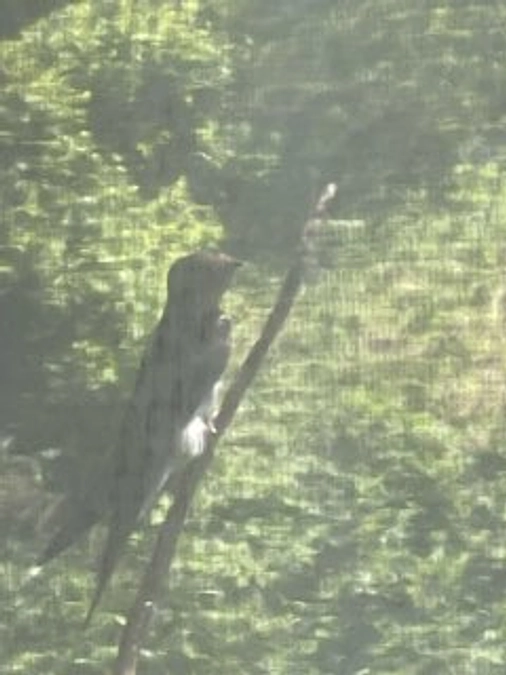 クラウドファンディングが生んだ物語