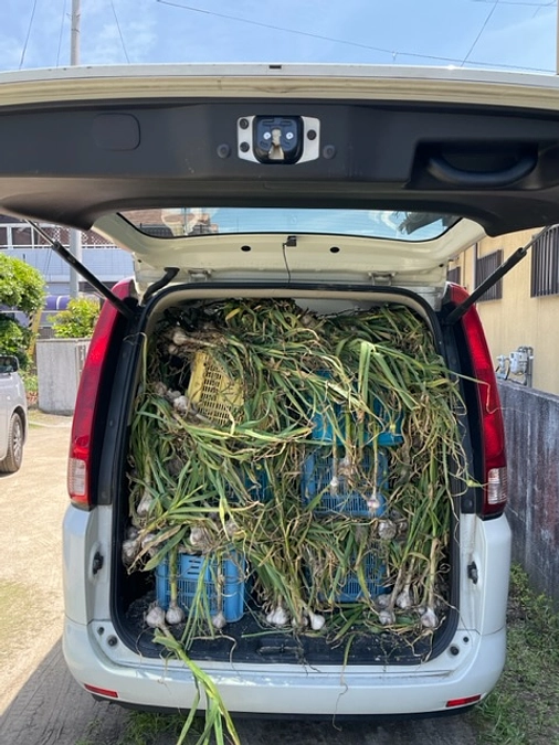 お掃除が大変だなあ