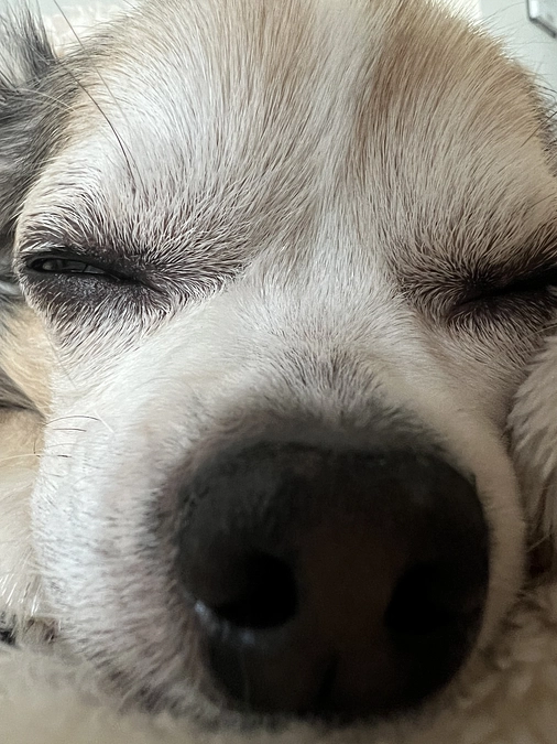 🎊🎉目標金額達成‼️🎉🎊