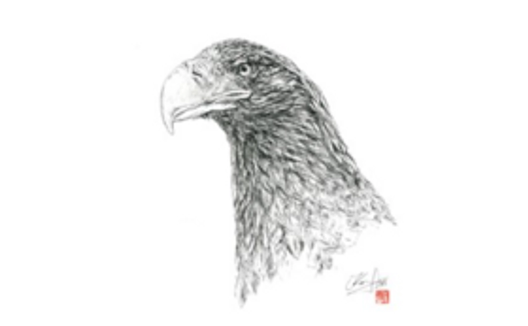 ポストカード 限定Ver.  3枚セット