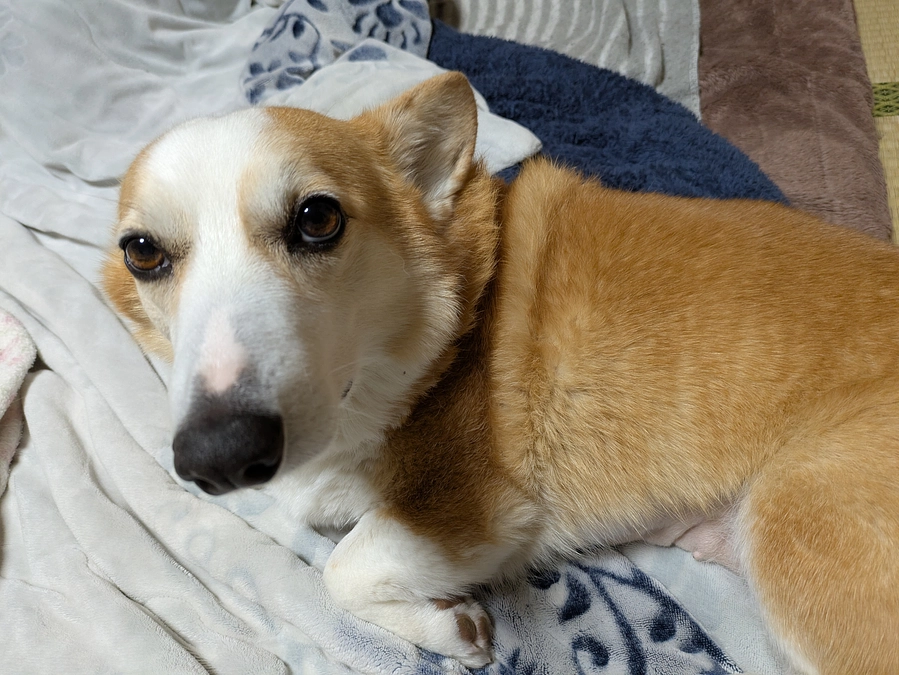 当たり前の日常は当たり前じゃなかった