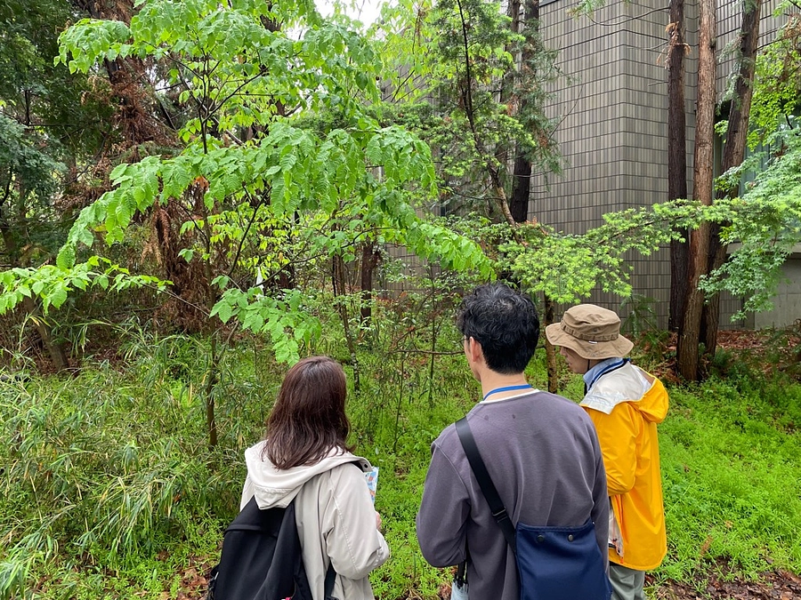 学芸員による展示室のDEEP解説　屋外展示室ツアーを実施しました！