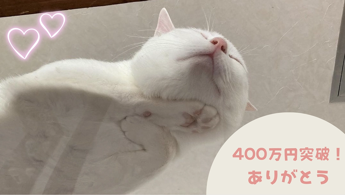 【祝！400万円突破！】応援コメントをご紹介いたします🎉