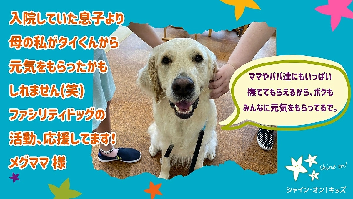 応援コメントのご紹介