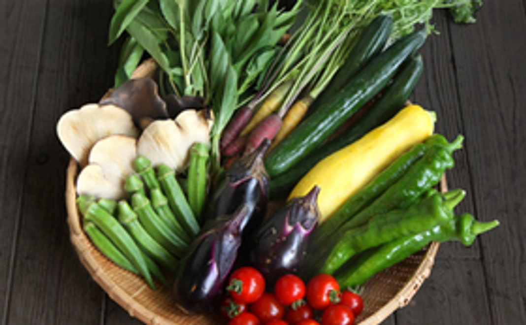 Dana Village採れたてオーガニック野菜