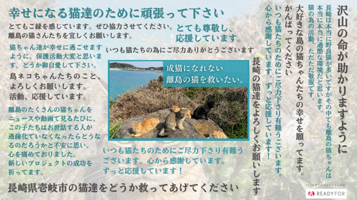 本日最終日23時まで！