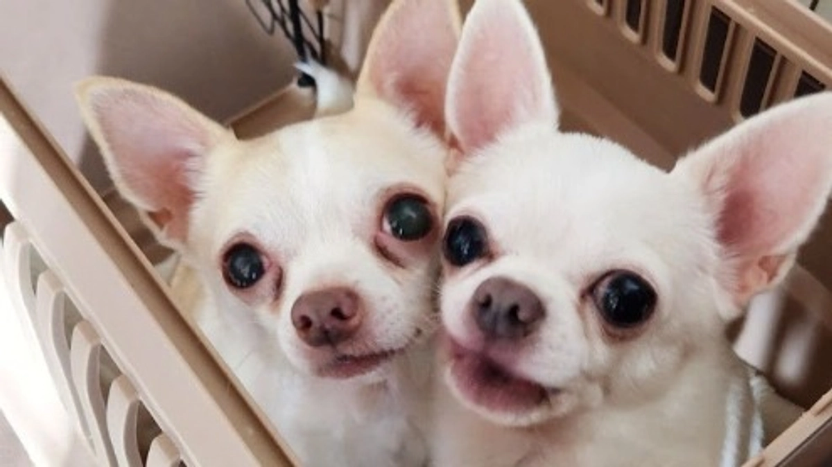 ついに１００名の方のご支援をいただきました！