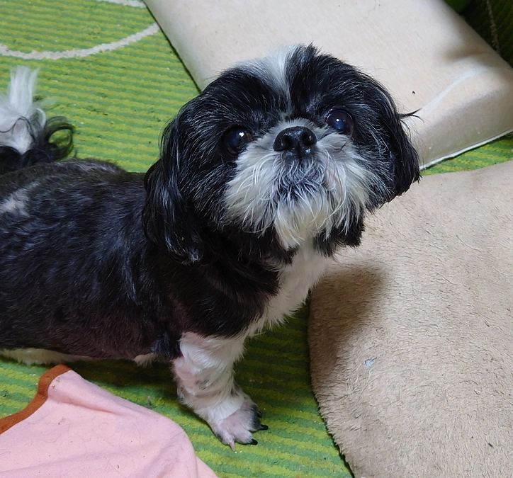 残1週間となりました。