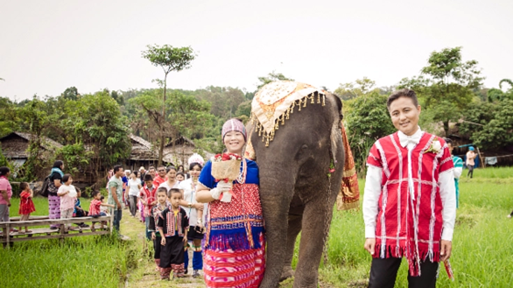 タイの象使いたちの誇りを守りたい！伝統文化の存続にご支援を。