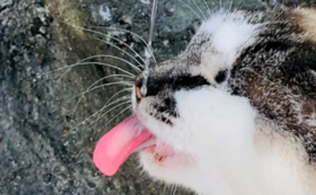 お気持ち支援コース